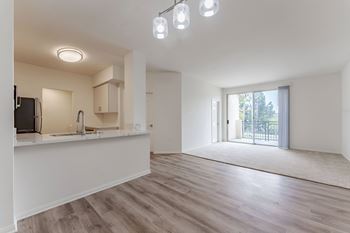 Nine foot volume ceilings in most rooms